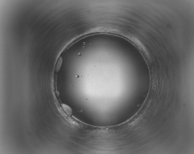 X0000073980896200609051908