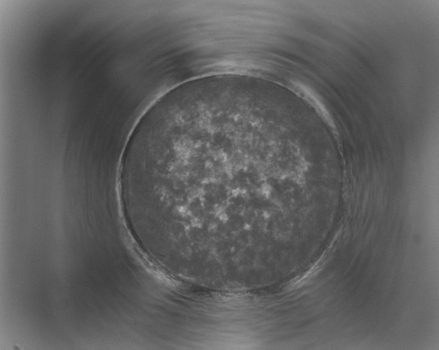 X0000073980899200609051908