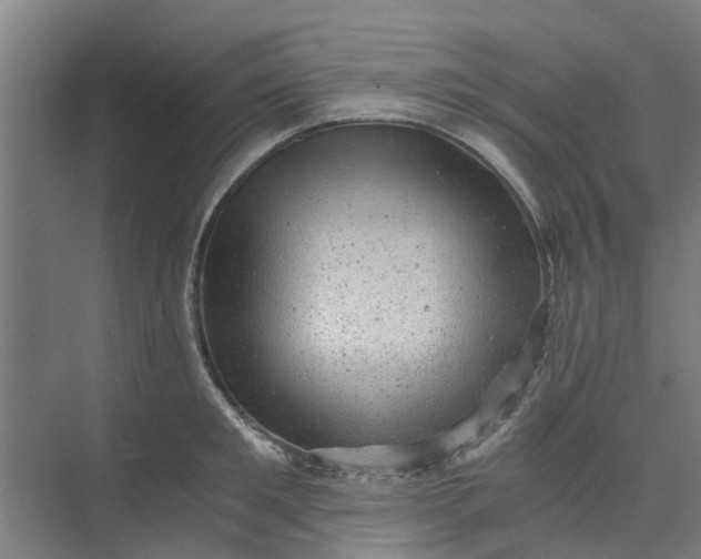 X0000073980901200609051908