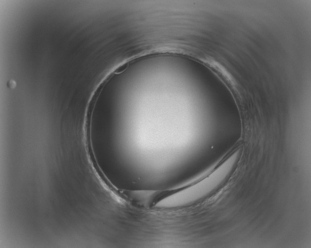 X0000073980902200609051908