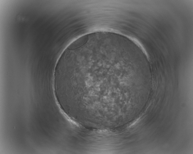 X0000073980903200609051908