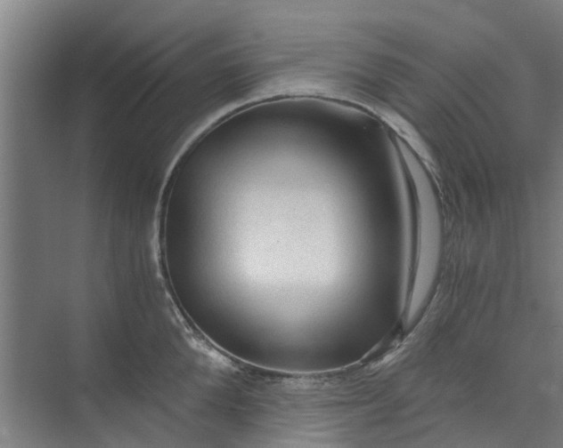 X0000073980904200609051908