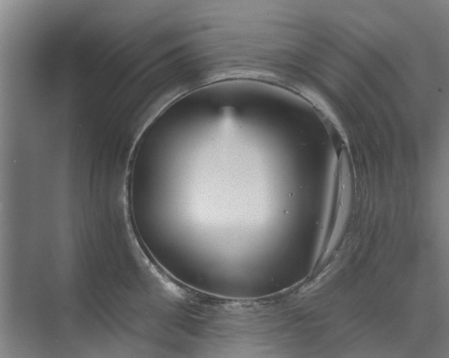 X0000073980906200609051908