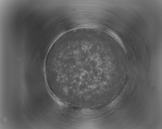 X0000073980907200609051908