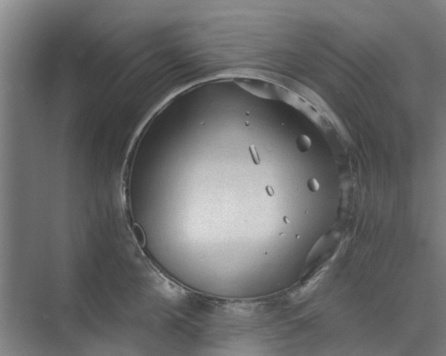 X0000073980908200609051908