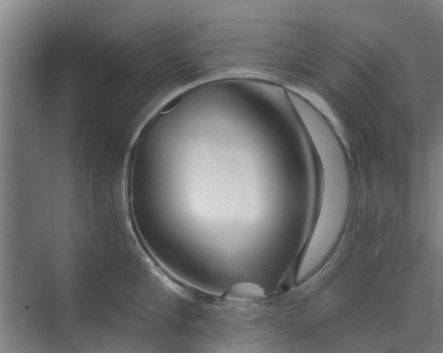 X0000073980910200609051908