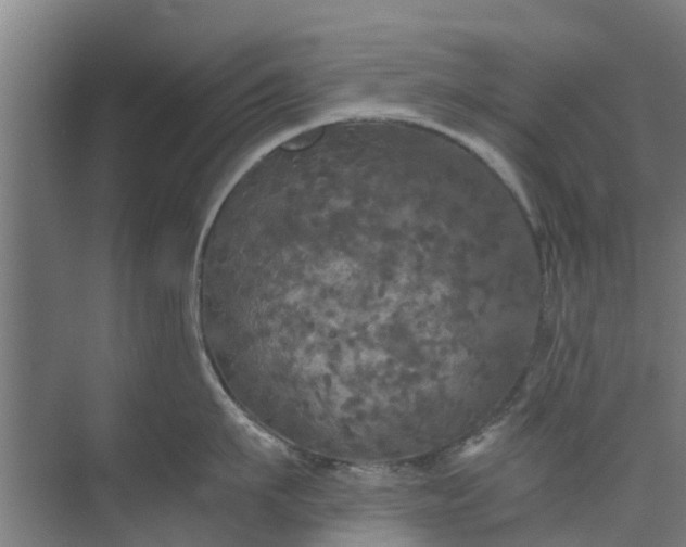 X0000073980911200609051908