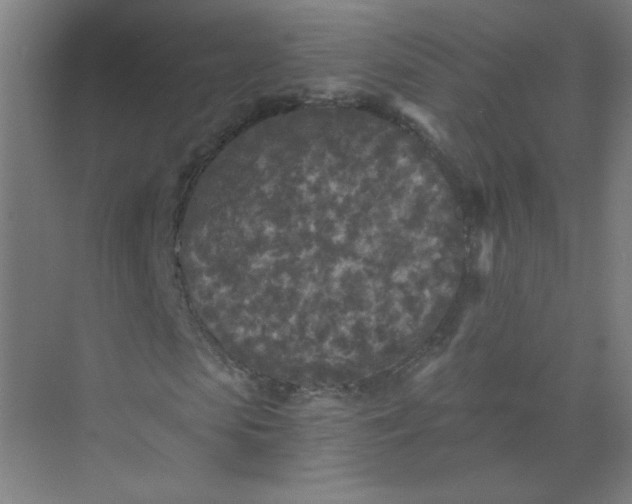 X0000073980913200609051907