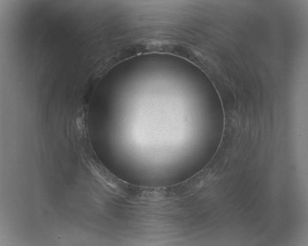 X0000073980914200609051907