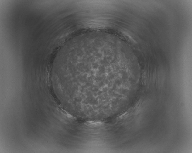 X0000073980917200609051907