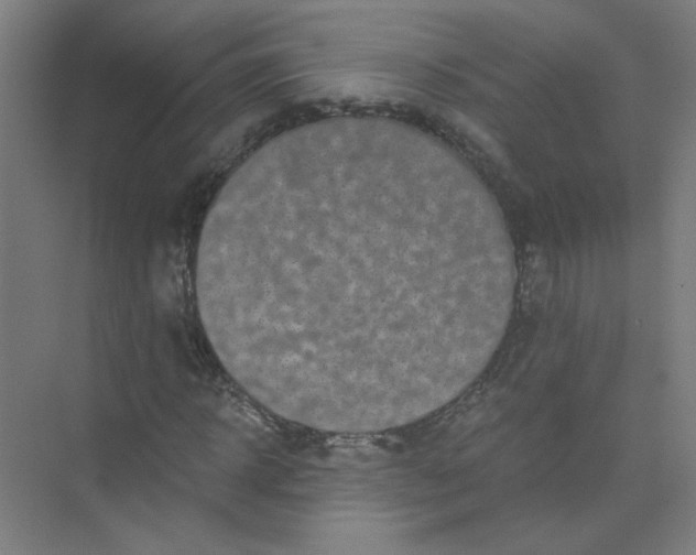 X0000073980918200609051907