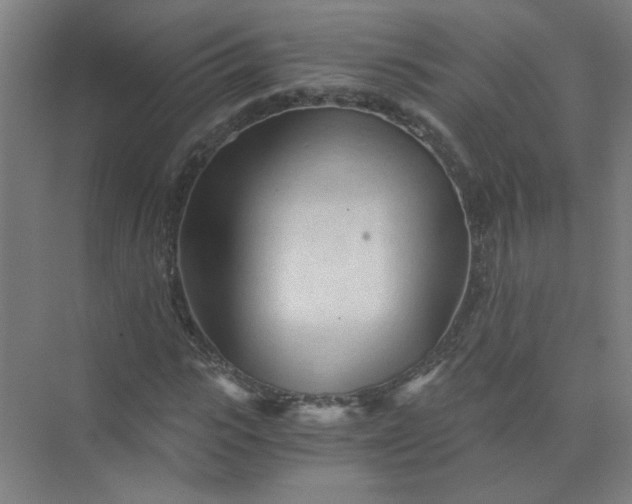 X0000073980919200609051907