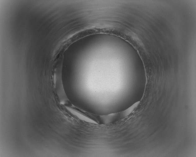 X0000073980920200609051907