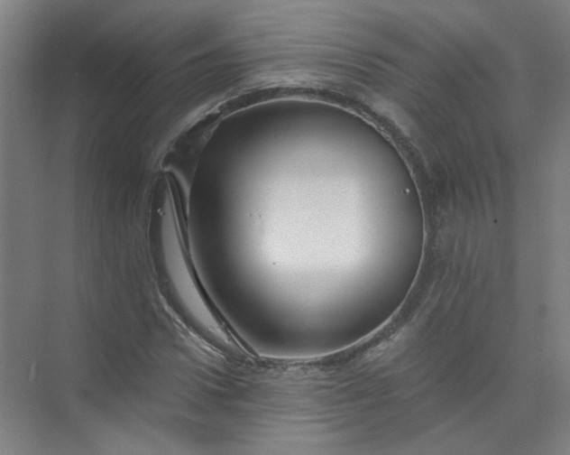 X0000073980922200609051907