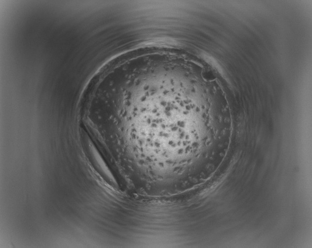 X0000073980923200609051907