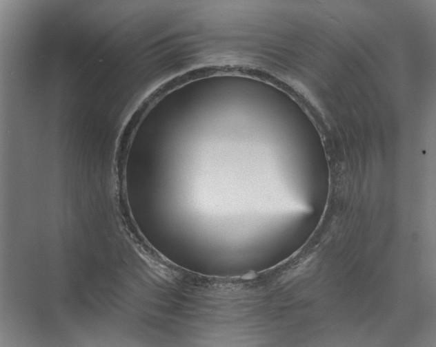 X0000073980927200609051907