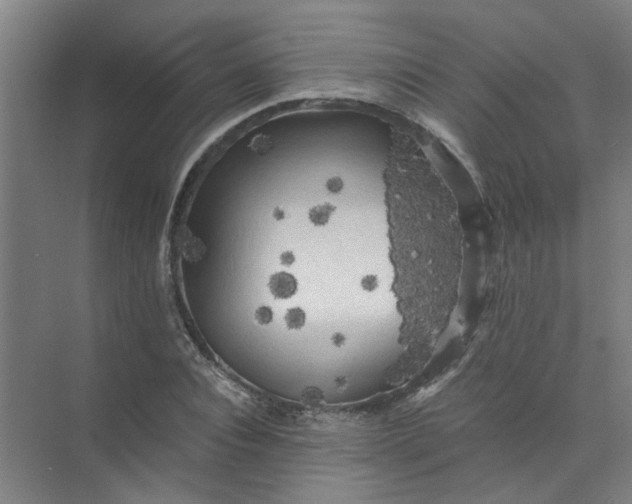 X0000073980928200609051907