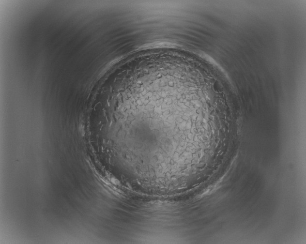 X0000073980929200609051907