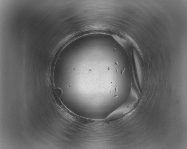 X0000073980930200609051907