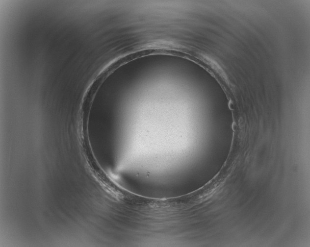 X0000073980931200609051907