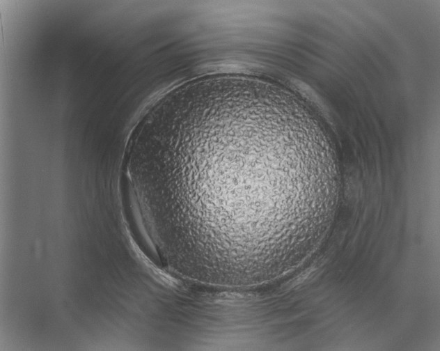 X0000073980938200609051907