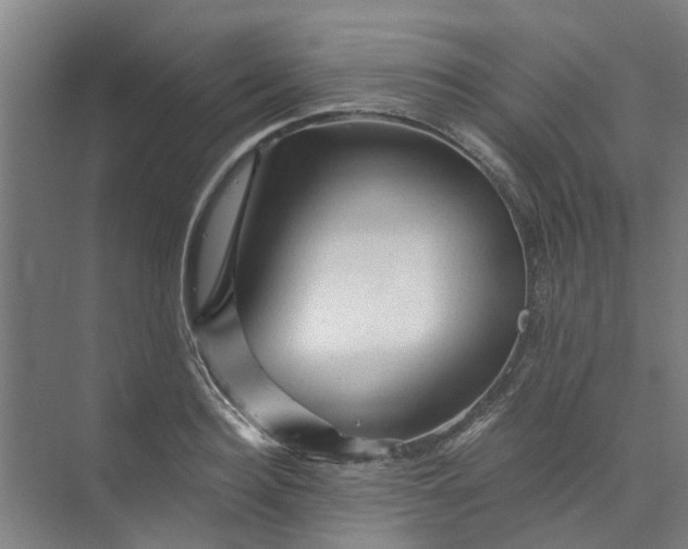 X0000073980940200609051907