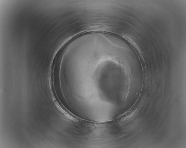 X0000073980941200609051907