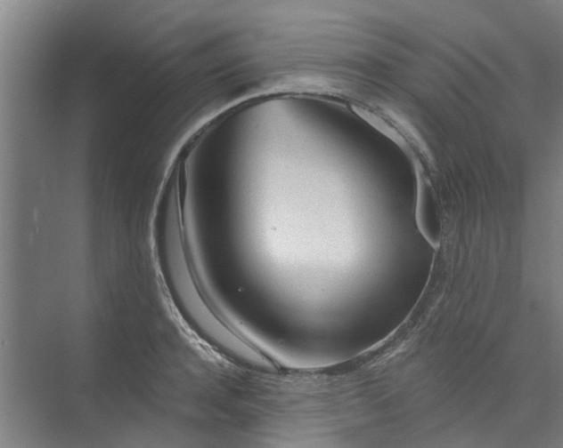 X0000073980944200609051907