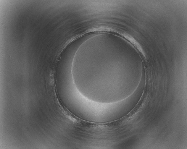 X0000073980945200609051907