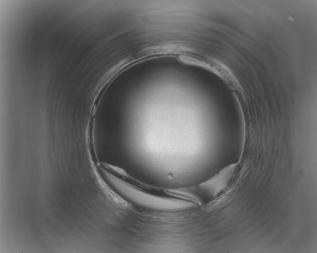 X0000073980946200609051907