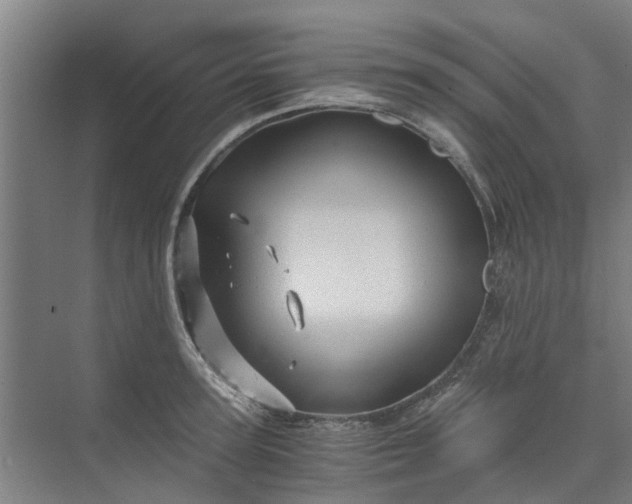 X0000073980947200609051907