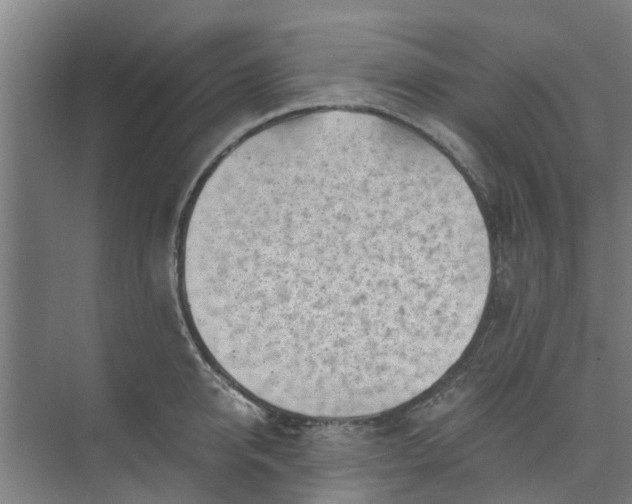 X0000073980950200609051907