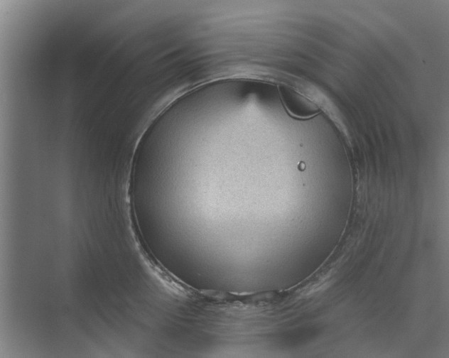 X0000073980954200609051907