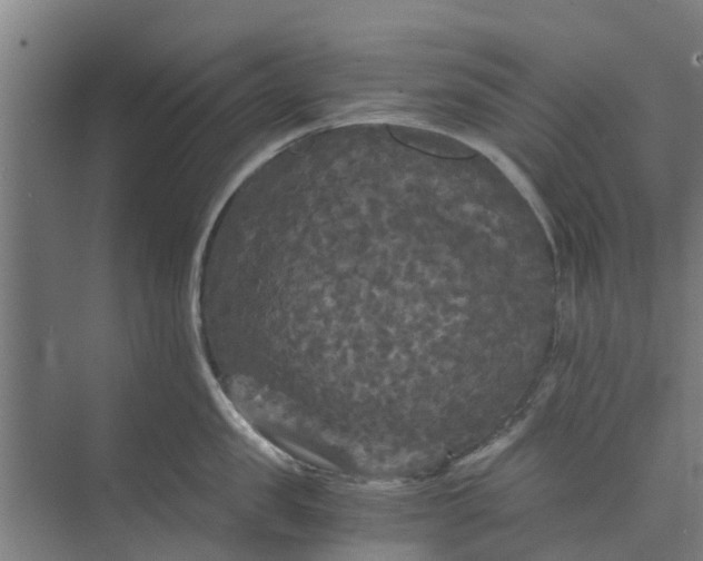 X0000073980957200609051908