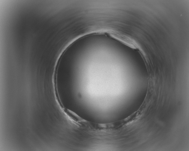 X0000073980959200609051908