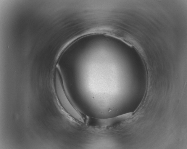 X0000073980960200609051908