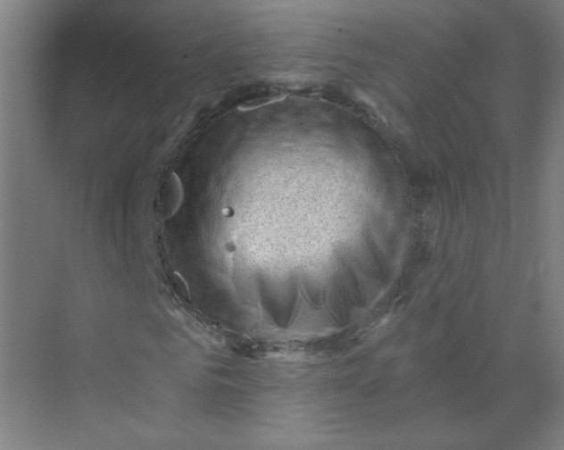 X0000073980961200609051907