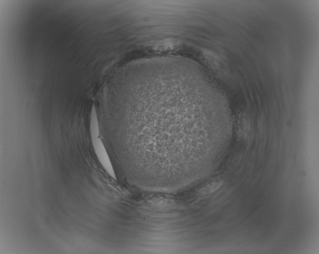 X0000073980962200609051907