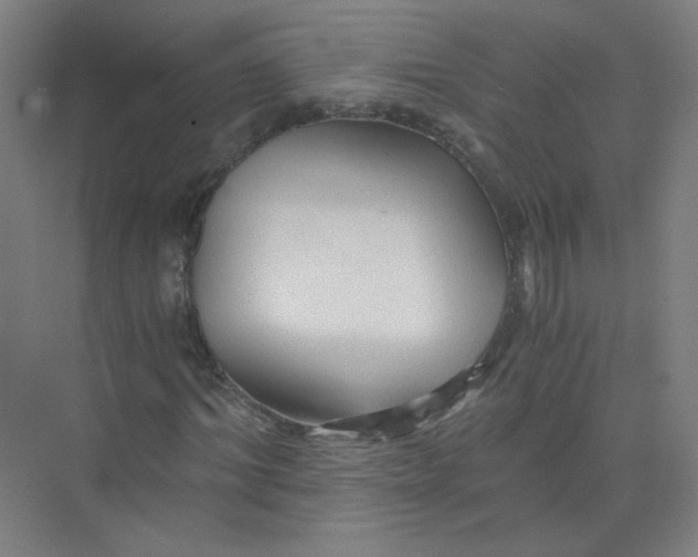 X0000073980964200609051907