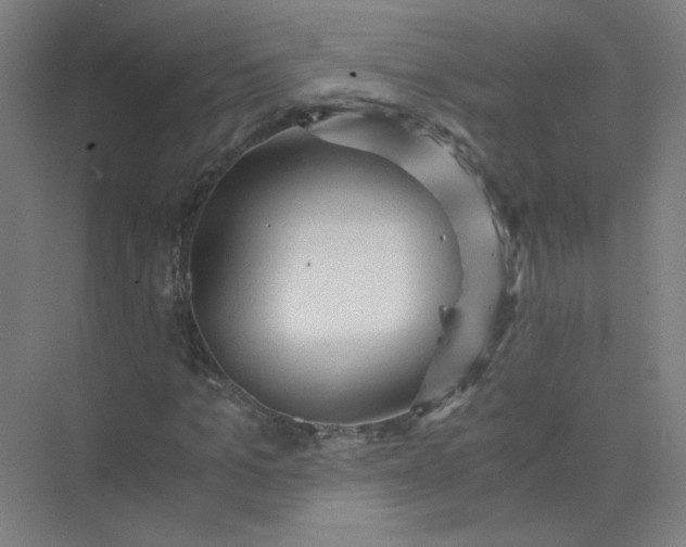 X0000073980965200609051907