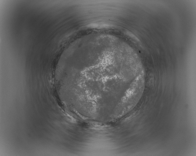 X0000073980966200609051907