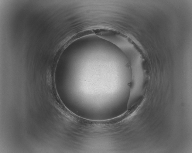 X0000073980969200609051907