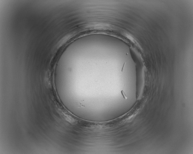 X0000073980970200609051907