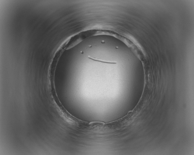 X0000073980972200609051907