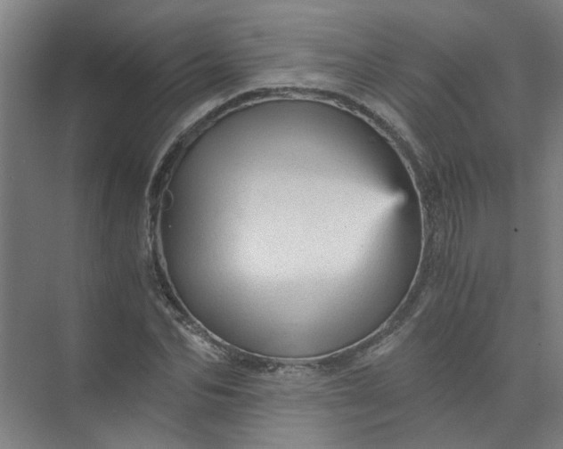 X0000073980974200609051907