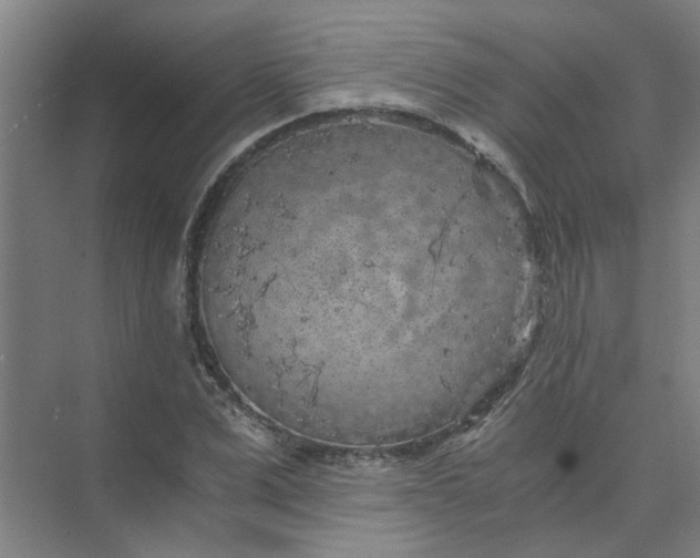 X0000073980975200609051907