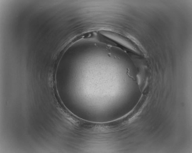 X0000073980977200609051907