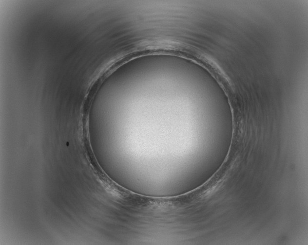 X0000073980978200609051906