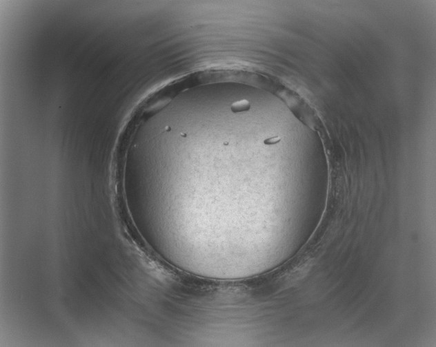 X0000073980979200609051906