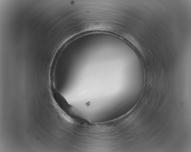 X0000073980980200609051906